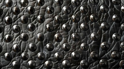 Metallic studs on a black leather background provide an edgy and rock-inspired texture to your design.