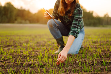 Farmer woman in boots checks the quality of the soil. Agronomist analysis the progress of the new...
