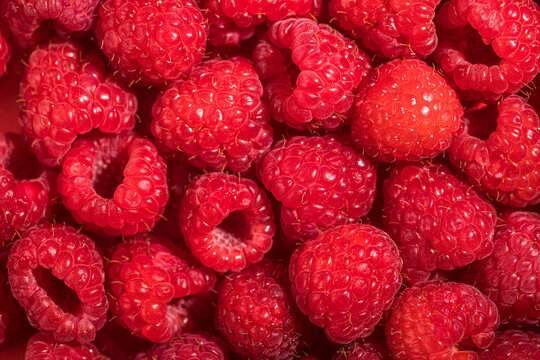 Close up of raspberries