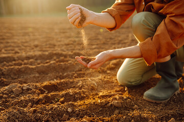 Hand of expert farmer collect soil and checking soil health before growth a seed of vegetable or...