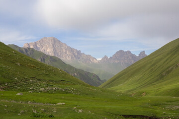 Mountain landscape. Mountain valley with alpine meadow.