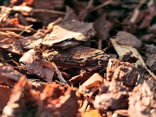 Wood mulch for the garden