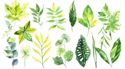 Detailed view of a collection of fine foliage painted in watercolors, capturing the essence of spring with light greens and yellows, isolated on a white background for a clean look