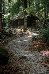A mystical house hidden in the forrest and a path leading to it.