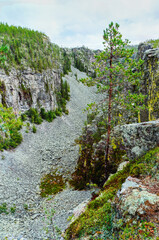 Spectacular view of Jutulhogget Canyon, one of the largest canyons in Northern Europe, steep rocks and a lush pine forest. Nature exploration and geology concepts. Rondane National park, Norway