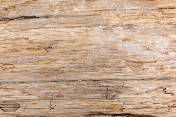 Beautiful old wooden background of wooden log without bark