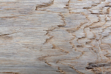Beautiful old wooden background of wooden log without bark
