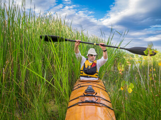 bow view of a senior male paddling a home built wooden sea kayak through dense reeds on a lake in Colorado