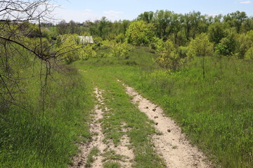 Obraz premium A dirt road overgrown with grass in the Ukrainian village