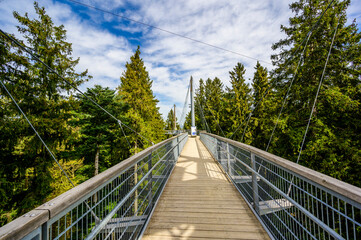 View of the tree top path and trail in beautiful mountain scenery - Skywalk in Alps - Travel destination in Scheidegg, Bavaria, Germany -