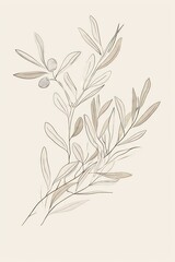 Olive branch drawing in a minimalist style