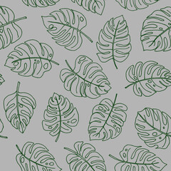 Line art doodle hand drawn green lined monstera plant leaves as summer botanical seamless pattern on grey background.Print fabric, cards, invitations