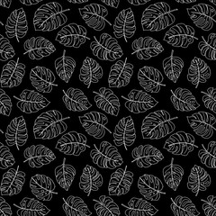 Line art doodle hand drawn white lined monstera plant leaves as summer botanical seamless pattern on black background.Print fabric, cards, invitations