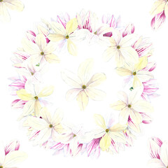 Seamless pattern of watercolor Magnolia blooming flowers wreath. Botanical hand painted floral elements. Hand drawn illustration. On  white background. For fabric, wrapping paper, wallpaper decoration