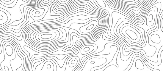 Fototapeta premium White background topography contour map with black curve lines .luxury topographic wavy pattern and geographic grid map design .