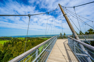 View of the tree top path and trail in beautiful mountain scenery - Skywalk in Alps - Travel destination in Scheidegg, Bavaria, Germany -