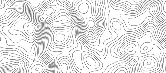 Fototapeta premium White background topography contour map with black curve lines .luxury topographic wavy pattern and geographic grid map design .