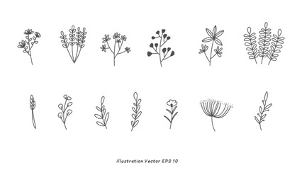 Set line drawing minimalist flowers .isolated on white background ,Vector illustration EPS 10
