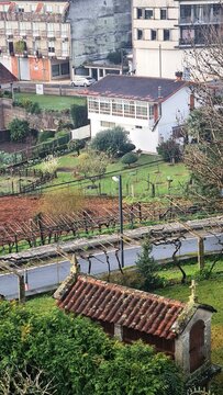 Paisaje t&iacute;pico de Galicia en las R&iacute;as Bajas