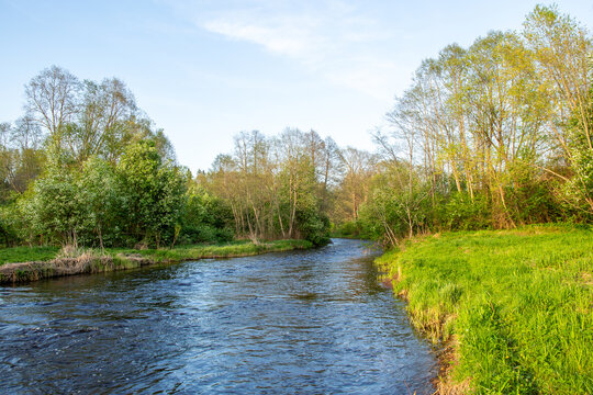Spring scene in May afternoon at the river Liela Jugla with blooming trees in Zakumuiza in Latvia
