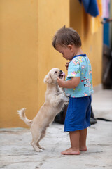 a boy plays with a dog, a boy in shorts treats a dog with food, a baby and a puppy, summer, yard, Cuba,