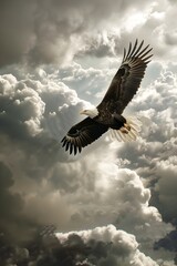 Obraz premium Majestic Silver Winged Eagle Soaring Through Ethereal Cloud Formation