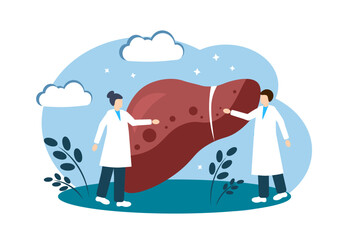 Doctors treat the liver. Human Anatomy