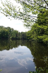 buchrainweiher bei Frankfurt