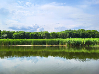 Green trees and bulrush reflecting in the water on the bank of DTD canal in Srbobran, Vojvodina, Serbia