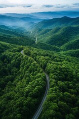 Scenic landscape view of a mountainous region covered in lush green forests. A winding road snakes through the dense tree-covered hills, leading towards the distant misty mountains in the background. 