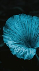 blue single flower macro