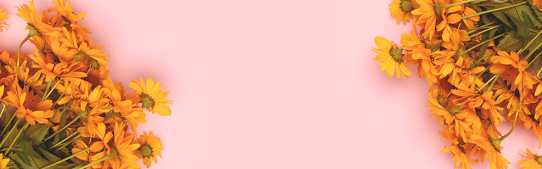 Frame made of arnica flowers on a pink background. Banner with place for text.