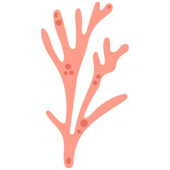 Coral vector illustration doodle drawing, isolated marine coral plant in shades of pink and red color.
