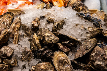 Fresh raw oysters shellfish on ice on market