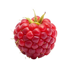 Pineberry fruit isolated on transparent background