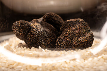 Black winter Perigord french truffles mushrooms, Tuber melanosporum, in glass container for sale