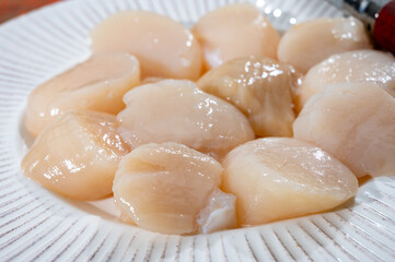 Atlantic bay cleaned scallops coquille St. James sea shells, catch of the day in Normandy or...