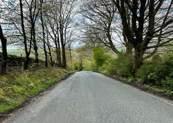 Ellers Road meanders through a tranquil landscape, bordered by bare trees and shrubs, on a late winter's day near Sutton-in-Craven, UK.