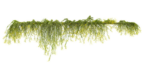 Set of various creeper plants, isolated on transparent background. 3D render © Saifstock