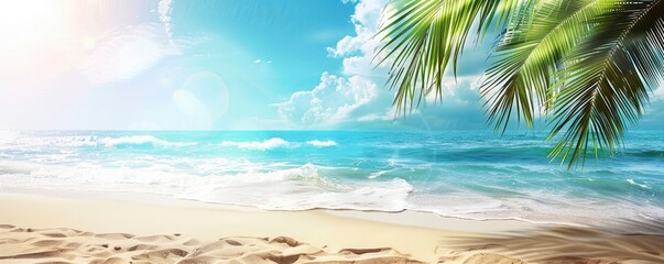 Fototapeta na wymiar Sunny summer background with sandy beach and palm tree, water, rock