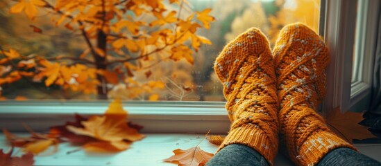 Wool Socks on Woman Feet at Home in Autumn Window