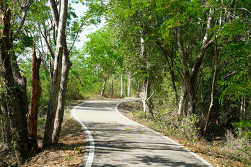 Empty curved concrete roadway winds through a green nature park with trees and plants in the forest, national park view in Thailand