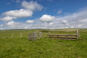 A view in the South Downs on a sunny spring day