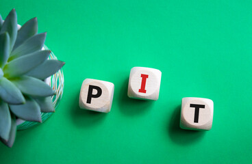 PIT - Personal Income Tax symbol. Wooden cubes with words PIT. Beautiful green background with succulent plant. Business and PIT concept. Copy space.