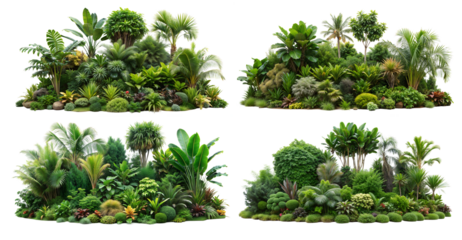 set of tropical evergreen rainforest, with tree,plants, shrub,bush and grass, isolated on transparent background . PNG, cutout, or clipping path.	
