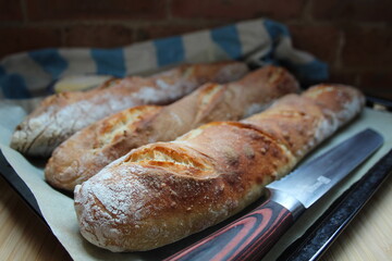 Homemade Artisan Baguette French Stick Bread Baking Bakery