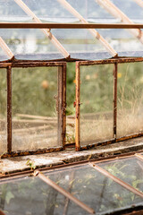 Gros plan sur la vielle serre