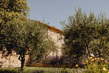 Mas provençal caché derrière les oliviers