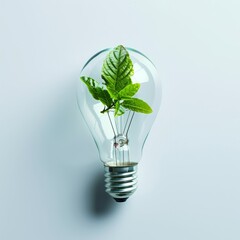 Fresh Green Leaves Inside of Light Bulb, Saving Energy, Eco-Friendly Lifestyle, Copy Space