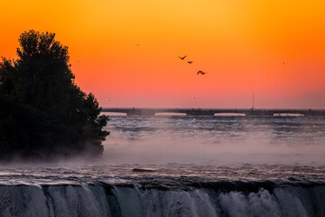 Gulls Soar at Daybreak Near the Brink of the Horseshoe Falls